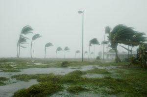 Hurricane Season 2020