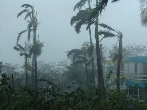 Hurricane Insurance Story